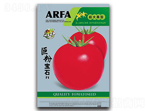 �޷ی�ʯ-���ѷN��-�A�S�N�I(y��)