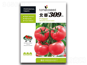 ����309-���ѷN��-�A�S�N�I(y��)