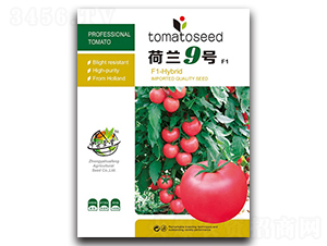 ���m9̖-���ѷN��-�A�S�N�I(y��)