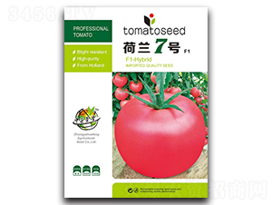 ���m7̖-���ѷN��-�A�S�N�I(y��)