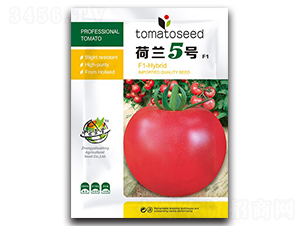 ���m5̖-���ѷN��-�A�S�N�I(y��)