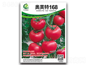 奧美特168-番茄種子-中農潤田
