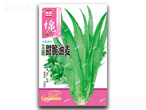 �o���������-�����˷N��-�d�߷N�I(y��)