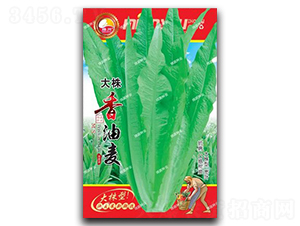 ����������-�����˷N��-�d�߷N�I(y��)