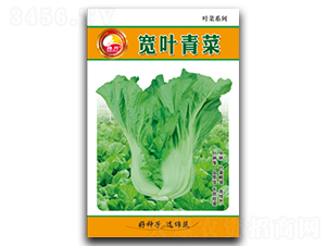 ���~���-��˷N��-�d�߷N�I(y��)