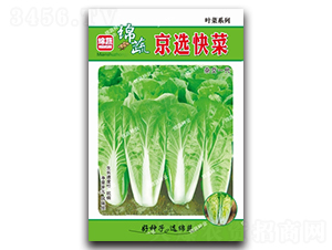 ���x���-��˷N��-�d�߷N�I(y��)