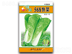 568���-��˷N��-�d�߷N�I(y��)