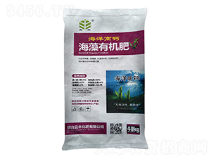 ������}�����ЙC(j��)��-֥�S-���S����