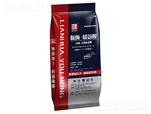 ��ø���������ЙC�o�C��(f��)���-ɏ�����r(n��ng)