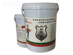 ΢�������-����1̖-�r��ʘI(y��)