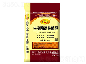 ����ø���Ծ���-ǧԽ