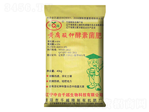 �S����⛽��ؾ���-ǧԽ