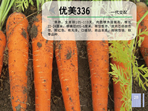 ��(y��u)��336-�}���N��-��֮�W