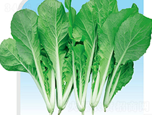 ���Ѳ�-�ײ˷N��-��֮�W