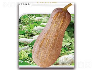 �����۱�-�ϹϷN��-��֮�W