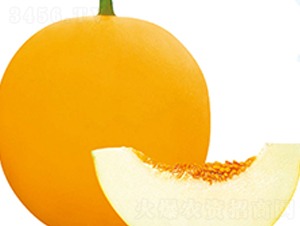 ����ɯ��3̖(h��o)-��ϷN��-��֮�W