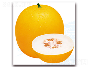 ����5̖(h��o)-��ϷN��-��֮�W