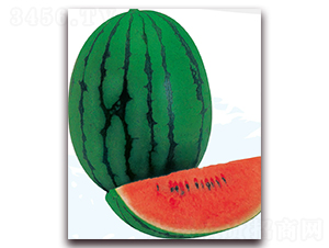 �ñ���-���ϷN��-��֮�W