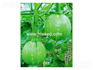 �������-�ϹϷN��-���؈@ˇ