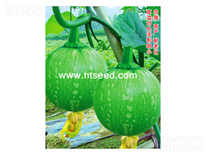 ��������-�ϹϷN��-���؈@ˇ