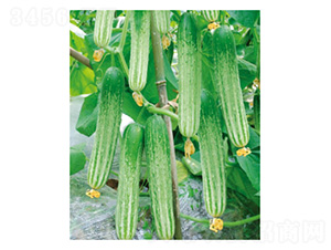 ���R4̖-�S�ϷN��-���؈@ˇ