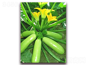 ���_-�����J�N��-���_(d��)