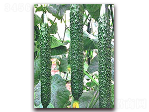 ���_2̖-�S�ϷN��-���_