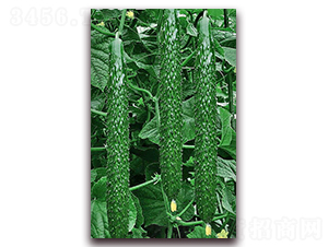 ���_1̖-�S�ϷN��-���_