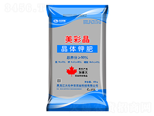 ���w⛷�-���ʾ�-�����r(n��ng)