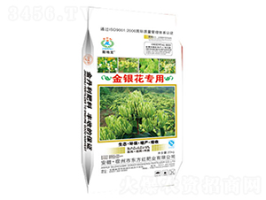 ���y�����Ï�(f��)�����-�|���t