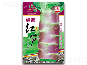 綿蔬紅筍-萵筍種子-綿蔬種業(yè)