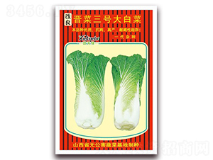 �����x����̖��ײ�-�ײ˷N��-���G