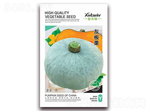 灰板栗-南瓜種子-歆天綠