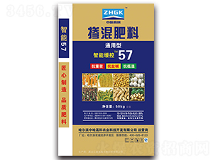 ͨ���͓������13-12-5-�й��߿�