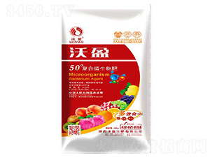 50��ͺ�΢�����-��ӯ����