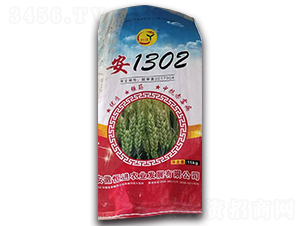 ��1302-С���N��-���M(j��n)�r(n��ng)�I(y��)