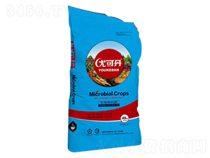 �����ЙC(j��)��-�ȿɵ�