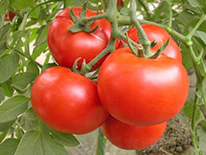 �_(d��)��-�۹����ѷN��-���_(d��)