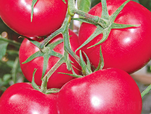 ������̖-�۹����ѷN��-���_(d��)