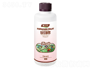 ⁼tԭ�{-�S�A��-�S�A�ʘI(y��)