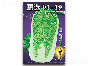 ���x91-19-�ײ˷N��-���ǷN�I(y��)