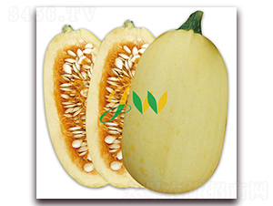 ���yԪ��-���������J�N��-�I�ھ���