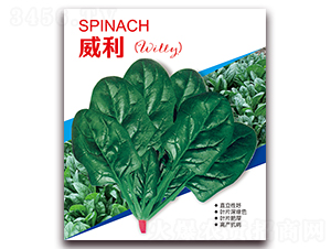 ����-���˷N��-�I�ھ���