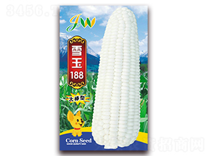 ѩ��188-�rʳ���׷N��-�I�ھ���