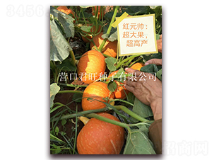 �tԪ��-�ϹϷN��-�I�ھ���