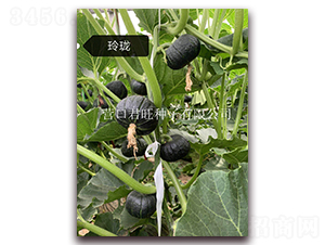 �ᭇ-�ϹϷN��-�I(y��ng)�ھ���