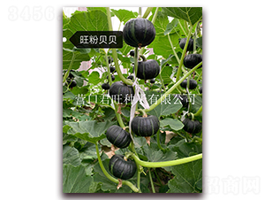 ����ؐؐ-�ϹϷN��-�I(y��ng)�ھ���