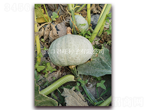 �y��1̖(h��o)-�ϹϷN��-�I(y��ng)�ھ���