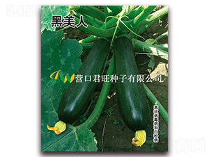 ������-�����J�N��-�I�ھ���