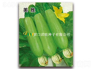 ����-�����J�N��-�I�ھ���